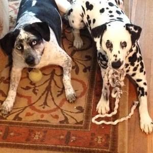 Meet your Posher, Denise